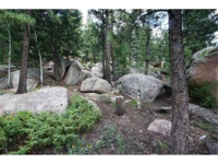  30271 Kings Valley East, Conifer, CO 7283630