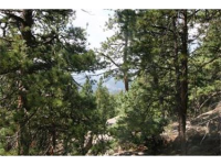  30271 Kings Valley East, Conifer, CO 7283625