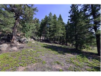  30271 Kings Valley East, Conifer, CO 7283608