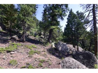  30271 Kings Valley East, Conifer, CO 7283614