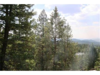  30271 Kings Valley East, Conifer, CO 7283621