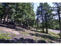  30271 Kings Valley East, Conifer, CO 7283611