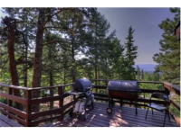  30251 Kings Valley East, Conifer, CO 7283989