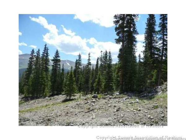  586 Hamilton Ln. Ln 3, Breckenridge, CO photo