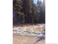  69 Wilderness Drive Dr 228, Blue River, CO 7284092