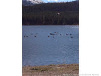  69 Wilderness Drive Dr 228, Blue River, CO 7284094