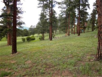 214 Old Corral Road, Bailey, CO 7285762