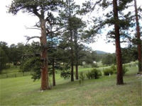  214 Old Corral Road, Bailey, CO 7285761