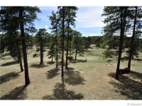  214 Old Corral Road, Bailey, CO 7285764