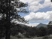  214 Old Corral Road, Bailey, CO 7285754