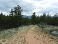  251 County 31 RD, Florissant, CO 7765354