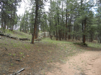  251 County 31 RD, Florissant, CO 7765356