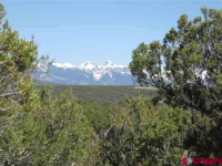TBD CO Rd 22 or Cactus Dr, Montrose, CO 81401