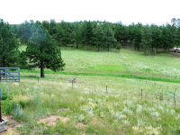  13220 County Rd. 1, Florissant, CO 8404385