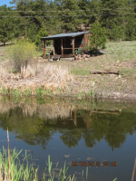  211 Hawk Lane, Guffey, CO 8408436