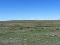  0  County Rd 149, Matheson, CO 8414027