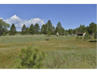  10420 Teachout Rd., Colorado Springs, CO 8417486