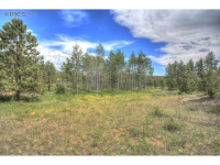  2252 Fox Acres Dr E, Red Feather Lakes, CO 8913068
