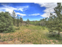  2252 Fox Acres Dr E, Red Feather Lakes, CO 8913067