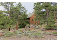  1323 Crow Rd, Red Feather Lakes, CO 8913151