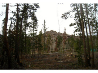  1323 Crow Rd, Red Feather Lakes, CO 8913155