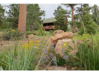  1323 Crow Rd, Red Feather Lakes, CO 8913133
