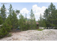  326 Hatchetumi Dr, Red Feather Lakes, CO 8913175
