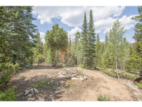  326 Hatchetumi Dr, Red Feather Lakes, CO 8913174