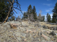  0 Middle Fork Vista Road Rd 578, Fairplay, CO 8918334