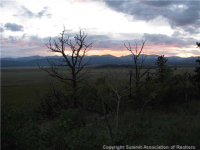  0 Middle Fork Vista Road Rd 578, Fairplay, CO 8918330