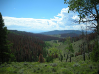  TBD CR 4081 Shadow Mountain Ranch Lots 20 & 21, Granby, CO 8919623