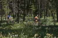  188 Deer Trail, Granby, CO 8919917