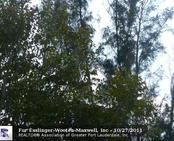 3126 ANSONIA RD, Other City Value - Out Of Area, FL photo