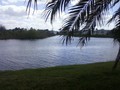  195 Palm Blvd, Parrish, FL photo