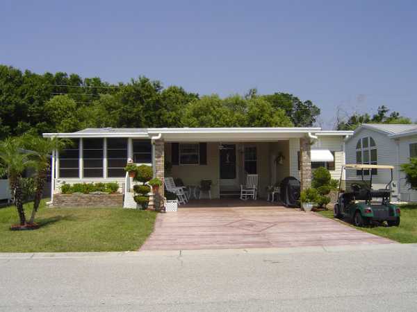  209 Tiger Lilly Dr., Parrish, FL photo