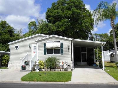  3432 State Road 580, #330, Safety Harbor, FL photo