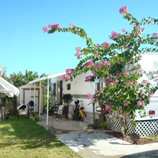  17021 Upriver Dr. Space 290, North Fort Myers, FL photo