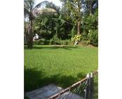  2540 NW 170 TE, Miami, FL photo