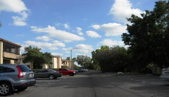  10263 Gandy Boulevard North #04-416, Saint Petersburg, FL photo