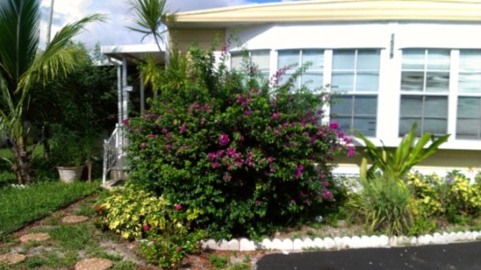  1519 NW 21st St., #554, Boynton Beach, FL photo