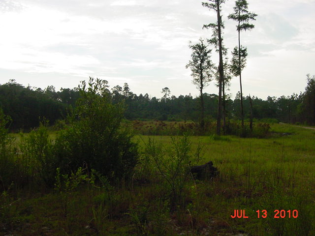  122 Ariana Cv, Crawfordville, FL photo