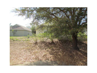  15857 Autumn Glen Ave, Clermont, Florida  4785795