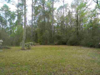  3591 Bloxham Cutoff Rd, Crawfordville, Florida  5047609