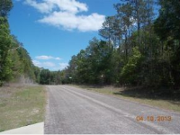  167 E Imrie Ln, Dunnellon, Florida  5188865