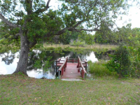  1512 Hanna Pond Ln, Lutz, Florida  5261946