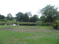  1512 Hanna Pond Ln, Lutz, Florida  5261947
