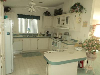  3113 State Road 580, #311, Safety Harbor, FL photo