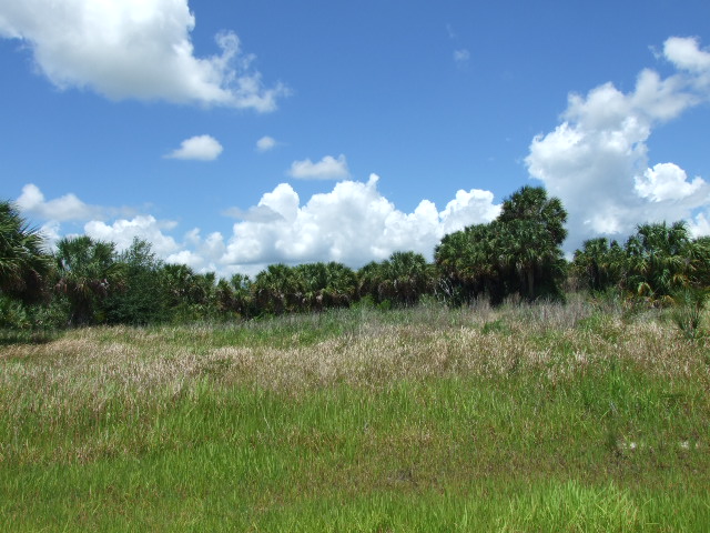  1776 Garvey Roadsouthwest, Palm Bay, FL photo