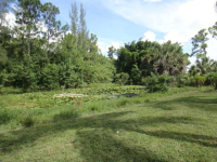  8394 Palomino Dr, Lake Worth, Florida  5684773