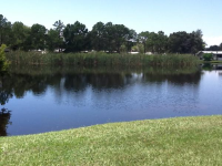  8914 Waterway Dr., Tampa, FL 5999654